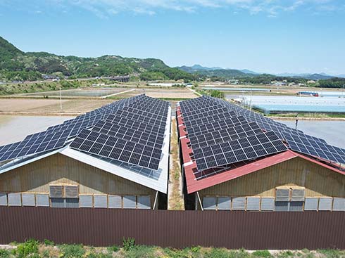 399kw بين قوسين الألواح الشمسية لحالة السقف المعدني Gyeongsangbuk-do ، كوريا الجنوبية