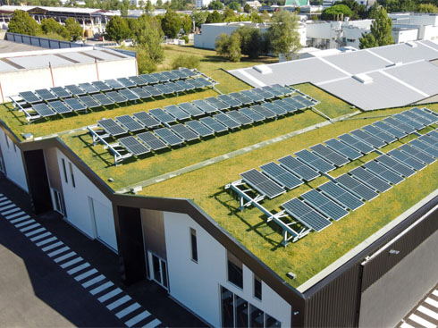 تقدم الشركات الناشئة الفرنسية حلولاً جديدة للأسطح الشمسية الخضراء