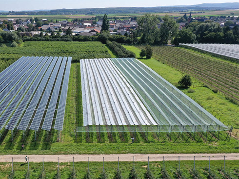الغالبية العظمى من المزارعين الألمان على استعداد لقبول الخلايا الكهروضوئية الزراعية
