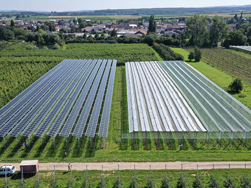 تُصدر رابطة الصناعة الكهروضوئية الأوروبية إرشادات جديدة للطاقة الكهروضوئية الزراعية